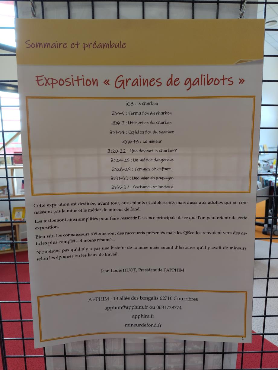Graines de galibots